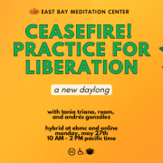 Yellow background with two white peace doves holding a green leafy branch. Green text in the center reads: Ceasefire! Practice for Liberation: A New Daylong. With Tania Triana, Ream, and Andres Gonzalez. Hybrid at EBMC and online. Monday, May 27th, 10am to 2pm pacific time. Black icons for closed captioning, wheelchair, and a mask are at the bottom.